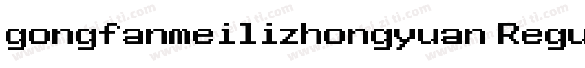 gongfanmeilizhongyuan Regular字体转换